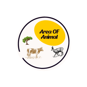 AreaOfAnimal.Com